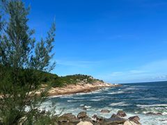 -广东惠东海龟国家级自然保护区