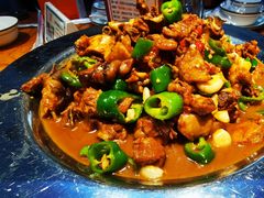 -俭寨大盘芦花土鸡·小公鸡·烧烤新疆菜(云通店)