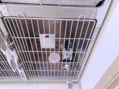 -宠颐生·恒爱宠物医院(静海店)