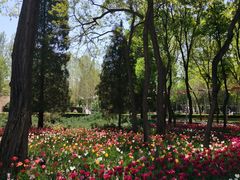 -人和居(丰葆路店)