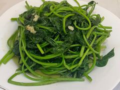 蒜茸番薯叶-新享乐海鲜(翠华路店)