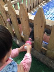 -萌宠亲子动物乐园(槐房万达店)