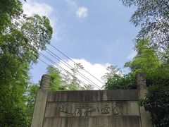 -紫金山山顶公园