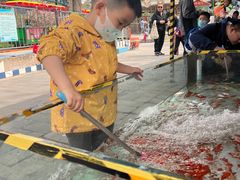 -丰台花园