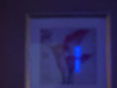 -水木谷养生水汇