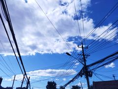 -北京老铺烤鸭(欣大购物广场店)