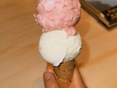 -红楼HONGLOU Gelato(淮海中路店)