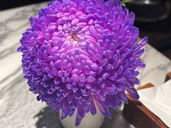 -杭州君悦酒店·湖滨28中餐厅