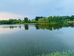 -东郊湿地公园