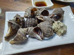 -鲁前海沿儿