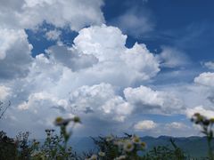 -武陵山森林公园