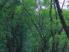 -承德避暑山庄景区