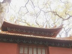 -普陀山风景名胜区-法雨禅寺