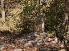 -关门山森林公园