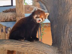 -石家庄市动物园