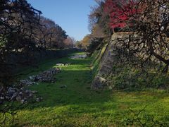 -名古屋城