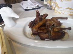 红烧乳鸽-光明招待所(邦凯科技园店)