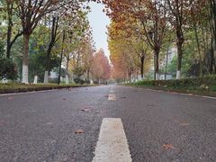 -大渡口区义渡公园