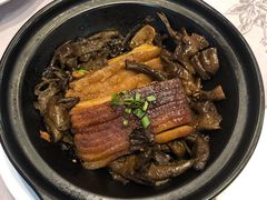 黄蘑蒸肉-佳兰雅序融合菜(高新店)