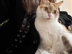 -爱诺耐芙动物医院(万博店)