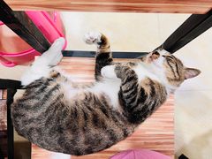 -玉椰林甜品店(创始店)