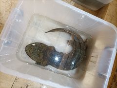 -煲仔王海鲜酒家