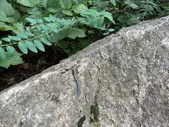 -黑龙潭风景区