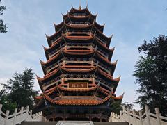 -铁山坪森林公园