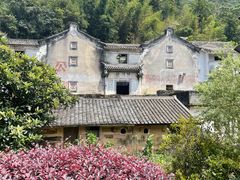 -雁南飞茶田景区
