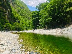 -黑河国家森林公园