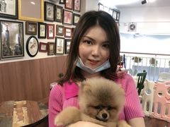 -柯斗斗主题餐厅·狗咖·围炉煮茶·茶饮(国瑞升平里店)