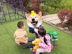 -小鱼草莓采摘园农家乐·小鱼餐厅
