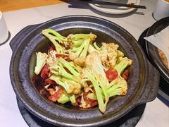 -鸽小宝(深圳首店)