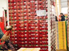 -西郊国际农产品交易中心