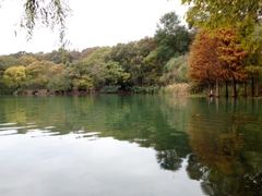 -紫霞湖公园