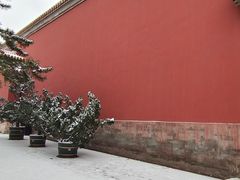 -北京市劳动人民文化宫(太庙)