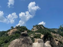 -大岭沟猕猴桃谷风景区