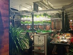 大堂-猫爪爪原切自助烤肉(观音桥阳光世纪店)