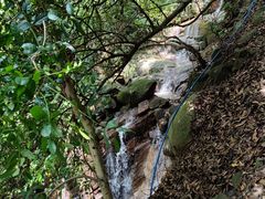 -火炉山森林公园
