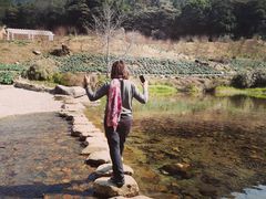 -广州市石门国家森林公园