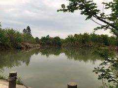 -桤木河湿地公园