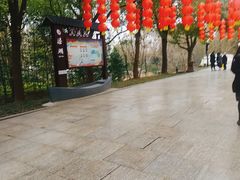 -溱湖国家湿地公园