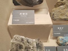 -安徽省地质博物馆