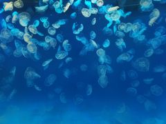 -多彩贵州城极地海洋世界