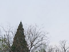 -青州市云门山风景区