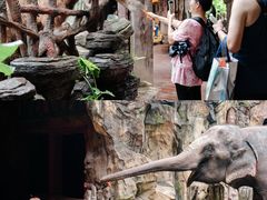 -长鹿旅游休博园