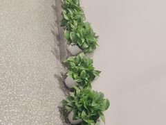 -张钰强中医正骨推拿连锁(唐家人才公寓店)