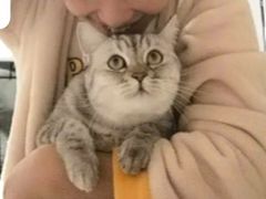 -美联众合动物医院·24h转诊中心