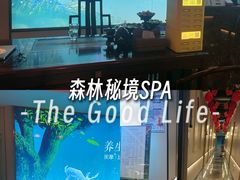 -道合堂·中式按摩·spa(民治店)