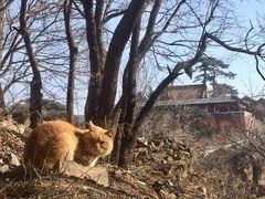 -妙峰山风景名胜区